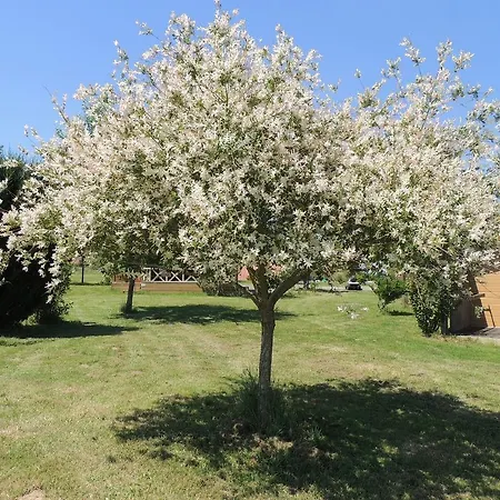 Campsite Domaine Maevag 4*